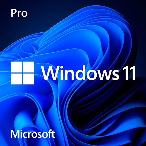 Windows 11 Professional License Key